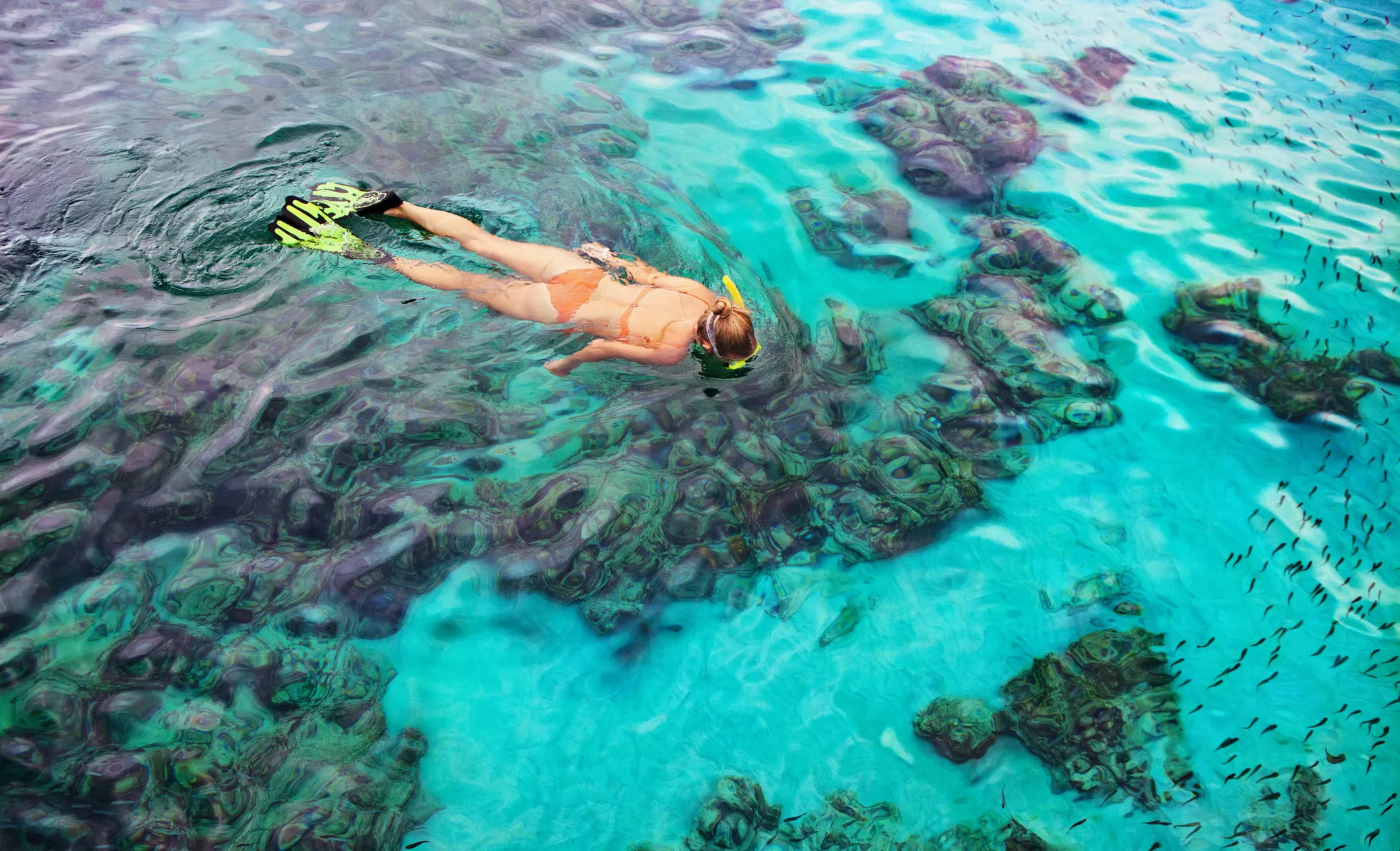 Go Snorkeling & Diving: Anguilla’s Underwater Amazements
