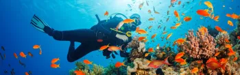 Turks & Caicos Scuba Diving