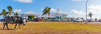 The Best Way to Get to  Turks and Caicos - Direct Flights and Charters