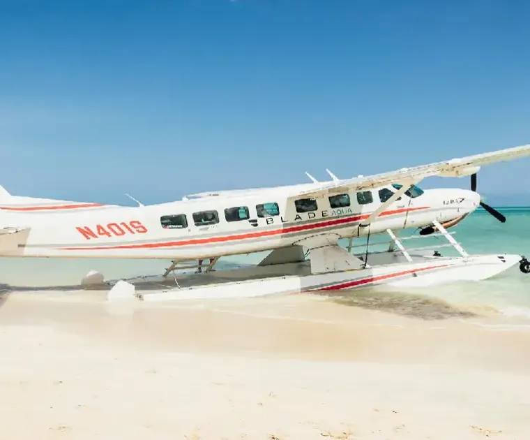 Blue Winged Teal at Kamalame