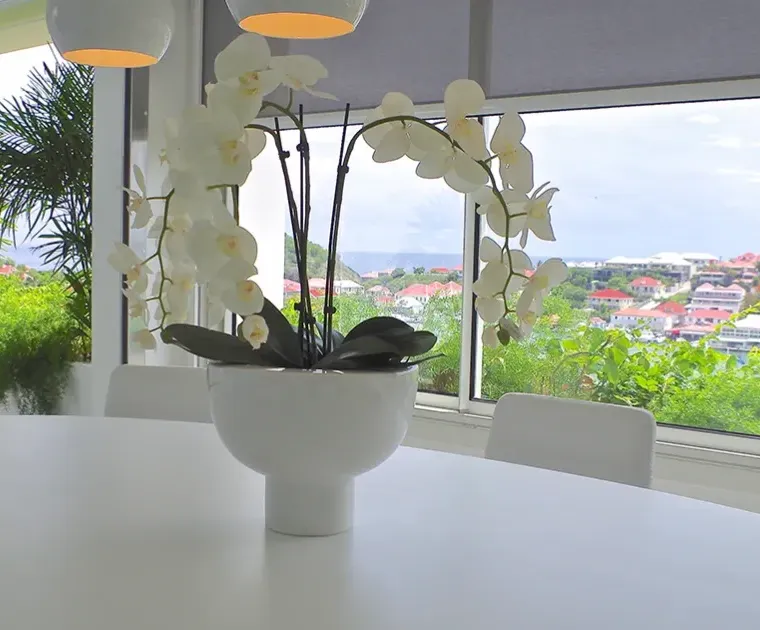 Les Jardins de Gustavia