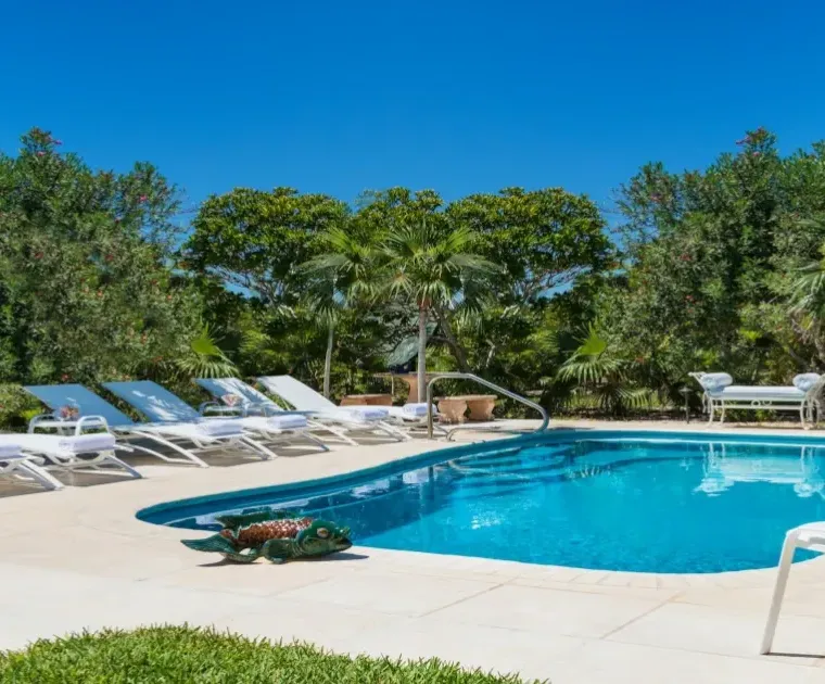 featured reef pearl main trigger