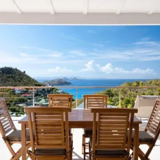 1.1 cypraea exterior 1