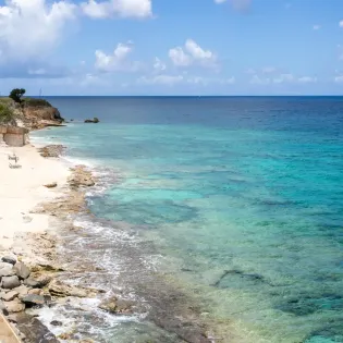 1.1 etoile de mer exterior