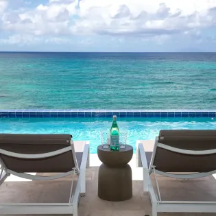 1.13 etoile de mer exterior