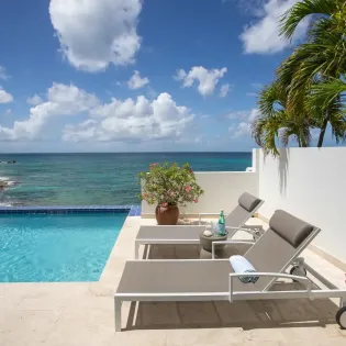 1.17 etoile de mer exterior