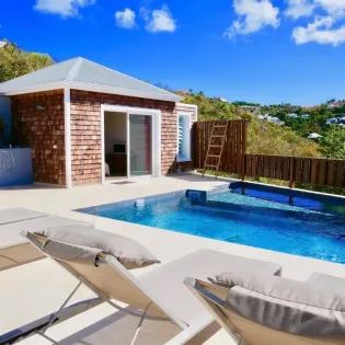 1.2 cypraea exterior 1