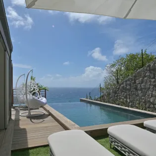1.2 davalia exterior 1