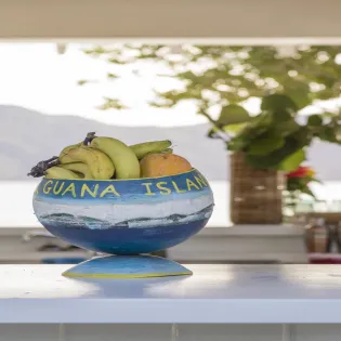 1.4 guana island exterior