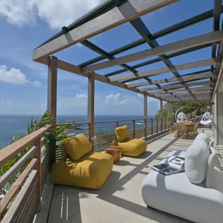1.5 davalia exterior 1