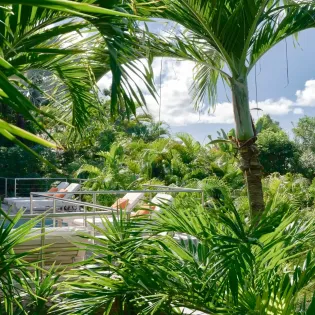 1.5 sakura exterior 1