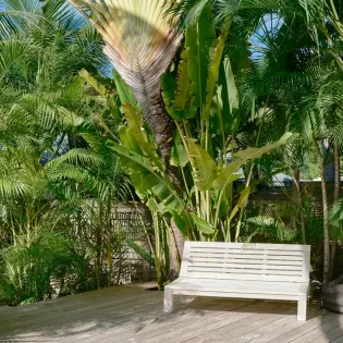 1.6 sakura exterior 1