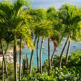 1.7 ahava exterior 1