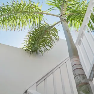 1.9 avee view exterior 1