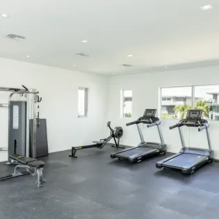 10.1 bliss villa two gym