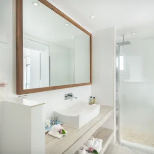 10.1 blue diamond bathroom 3