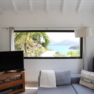 cozy_amancaya