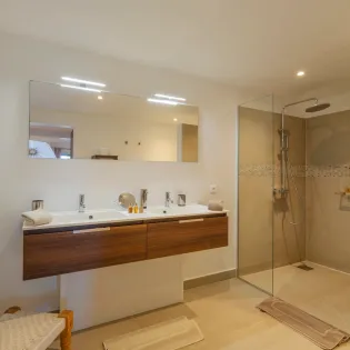 11.1 only view guest bathroom 3