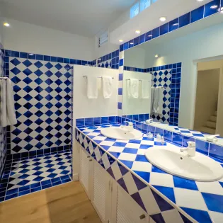 12.1 coco blue bathroom 4