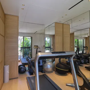 13.3 alisea gym room