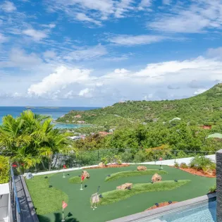 13.3 wings mini golf