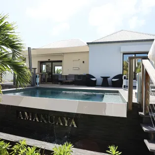 cozy_amancaya