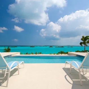 breezy_palms