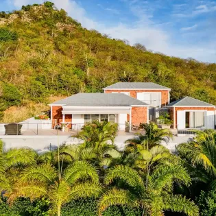 2.2 cypraea exterior 2 drone