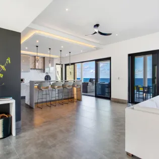 2.4 reve noir living room