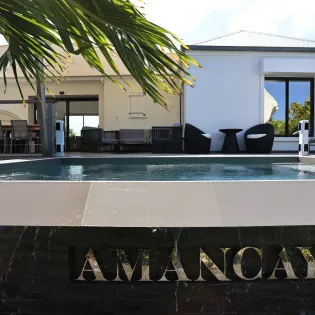 cozy_amancaya
