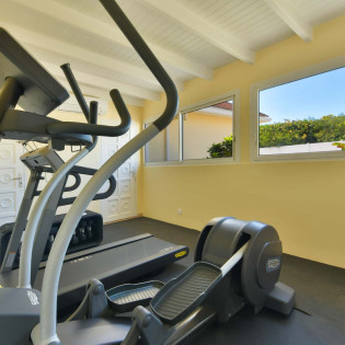 3 St Barts Villa CADgym01