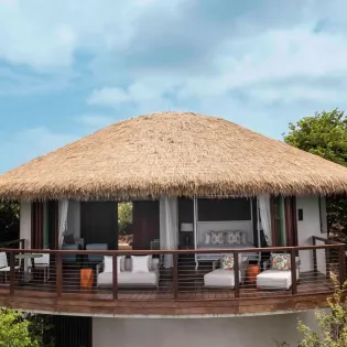 24 the village treetop