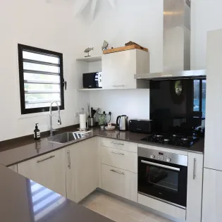 cozy_amancaya