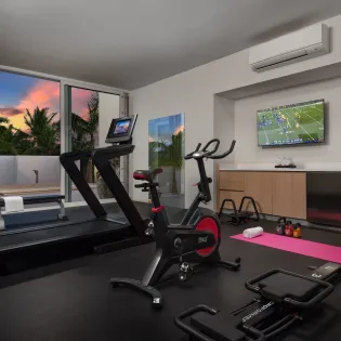 4.1 bash gym