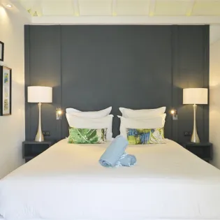 4.5 silhouette primary bedroom