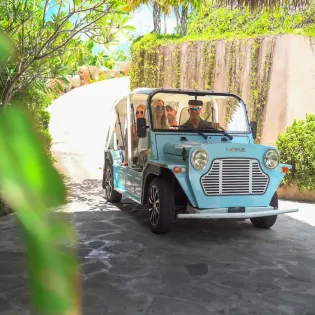 5 the cape stout moke