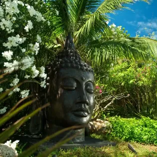 6 musha cay buddha
