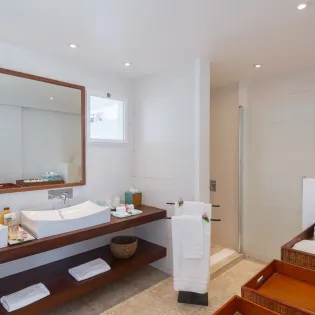 6.1 blue diamond bathroom 1