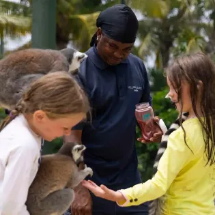 7.11 squids with lemurs