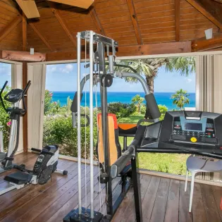 9.1 dream in blue gym