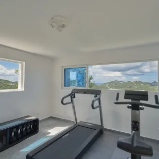 9.1 ellede gym room