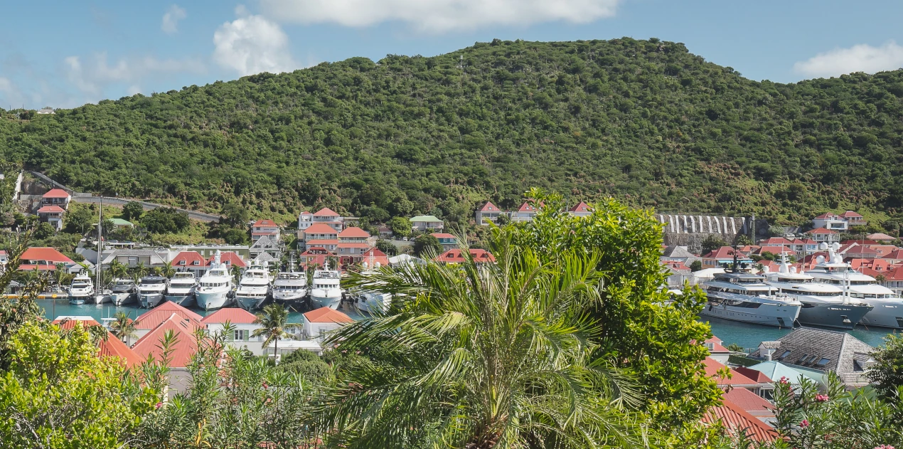 gustavia view main trigger