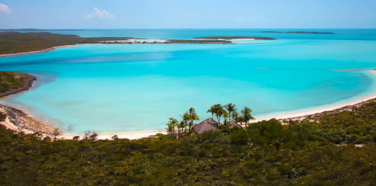 musha cay main trigger