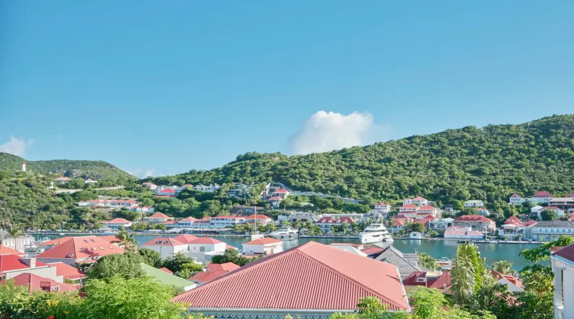 1.1 avee view exterior 1