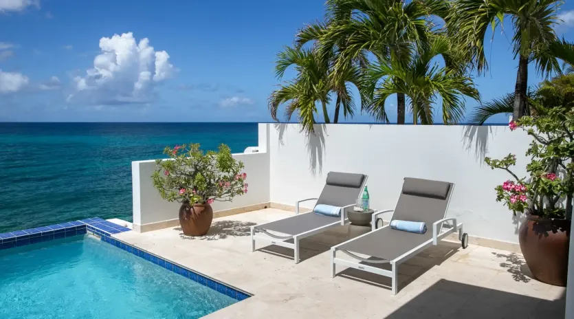 1.18 etoile de mer exterior