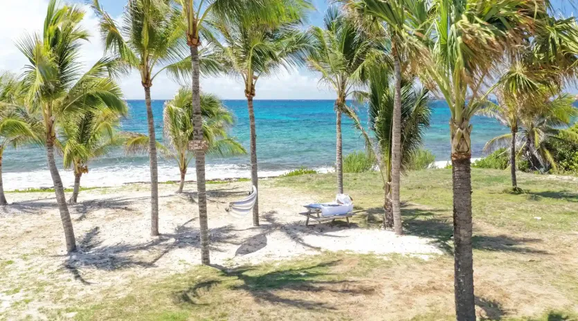 1.2 luffy exterior 1