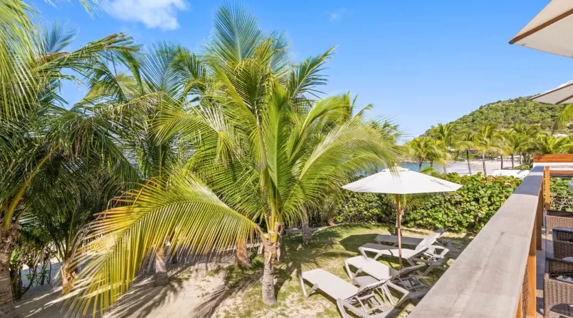 1.3 celina exterior 1