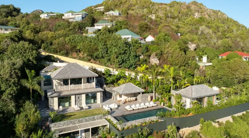 2.1 alisea exterior 2 drone