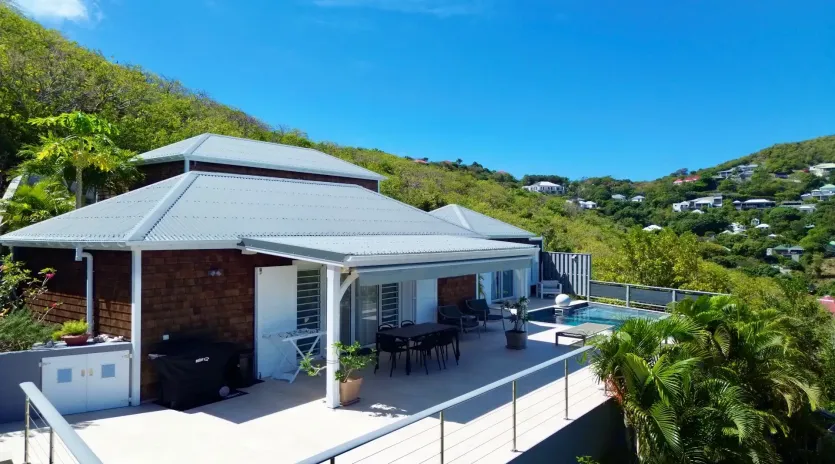 2.1 cypraea exterior 2 drone