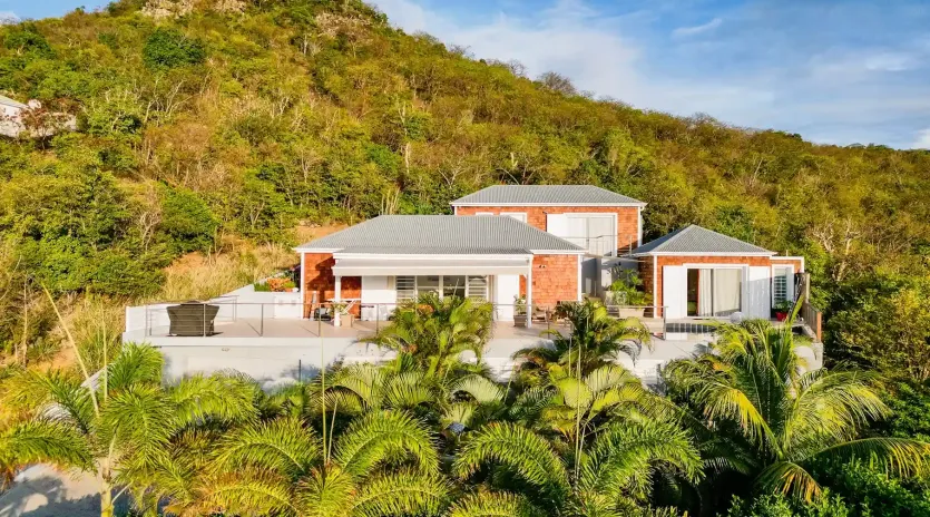 2.2 cypraea exterior 2 drone